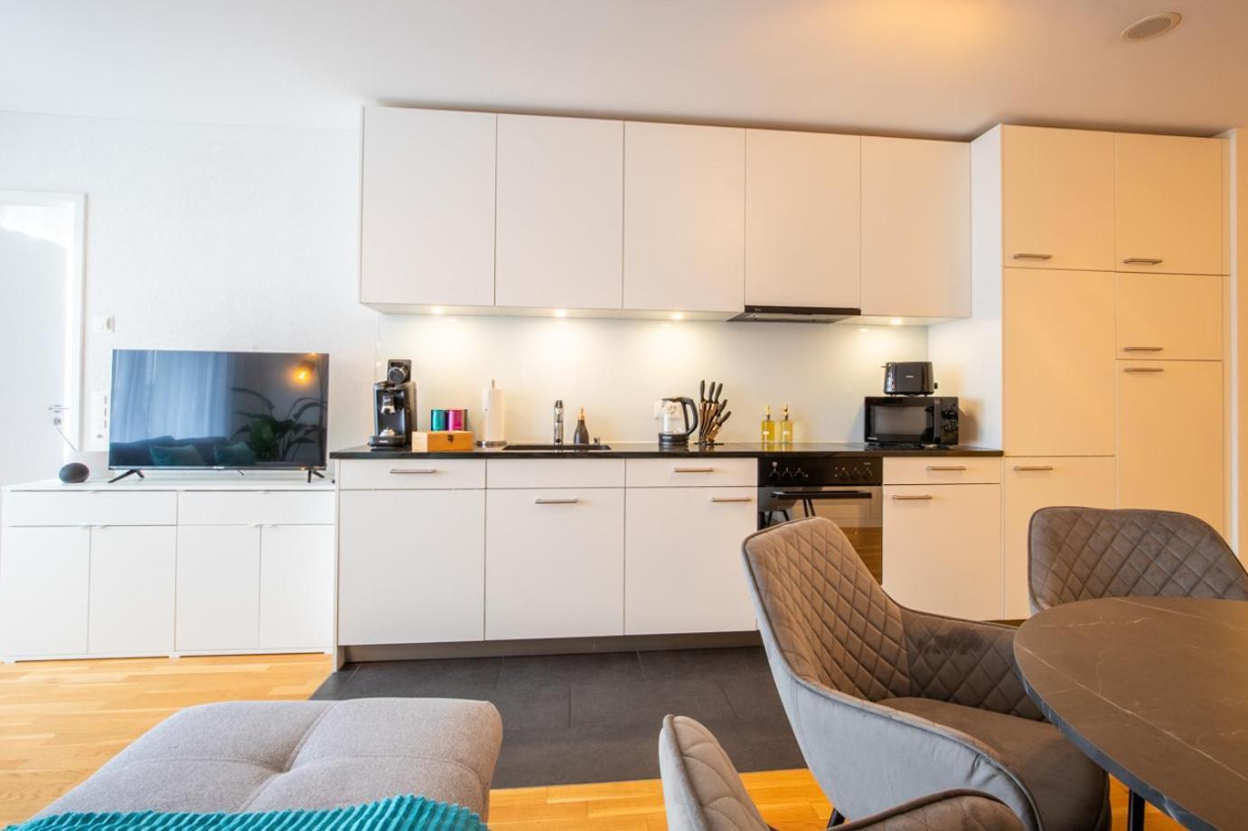 Special Einstein I Apartment Basel, Messe Kleinbasel 10-Star Екстериор снимка
