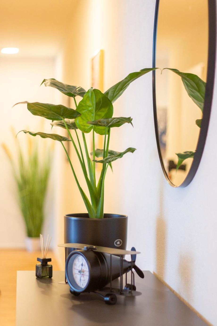Special Einstein I Apartment Basel, Messe Kleinbasel 10-Star Екстериор снимка